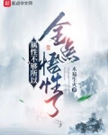 屬性不夠所以全點悟性了