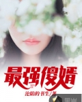 最強傻婿