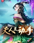 夫人莫動手