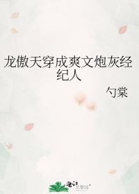 龍傲天穿成爽文炮灰經紀人