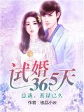 試婚365天小說