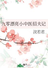 九零漂亮小中醫招夫記
