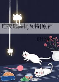 連夜逃離提瓦特[原神]