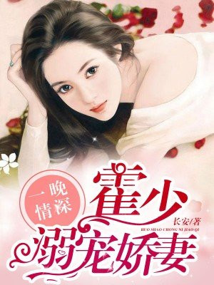 一晚情深，霍少溺寵嬌妻