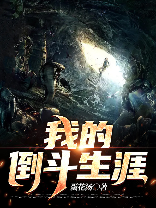我的倒斗生涯江天