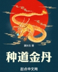 種道金丹
