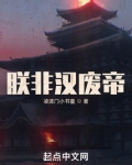 朕非漢廢帝