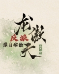 反派親自嫁給龍傲天