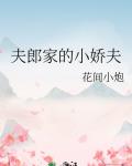 夫郎家的小嬌夫
