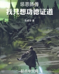 懲惡揚善我只想功德證道