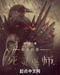 我真的是死靈巫師