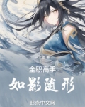 全職高手：如影隨形