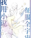 我用小說征服全宇宙