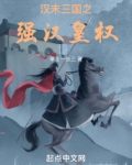 漢末三國之強漢皇權