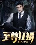 至尊狂婿漫畫