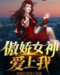 傲嬌女神愛上我