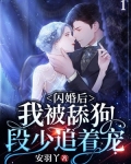 閃婚後，我被舔狗段少追着寵