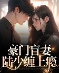 豪門總裁之盲少