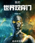 我的世界雙穿門