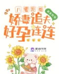 八零寵婚：嬌妻追夫好孕連連
