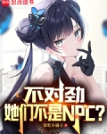 不對勁，她們不是NPC？