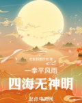 一拳平風雨，四海無神明
