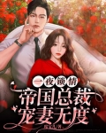 一夜鎖情：帝國總裁寵妻無度