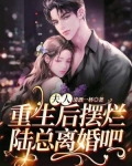 夫人重生後擺爛，陸總離婚吧