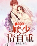 一婚成癮：顧少請自重