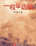 一枚軍功章