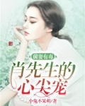 前妻有毒：肖先生的心尖寵