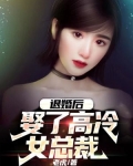 退婚後，娶了高冷女總裁