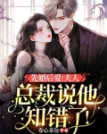 先婚後愛：夫人，總裁說他知錯了！