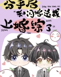 分手後和閃婚總裁上婚綜了