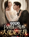 替嫁甜妻：閃婚後殘疾大佬寵哭我