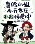 鷹眼小姐今天也在不能接受中