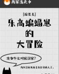 樂高蝙蝠崽的大冒險[綜英美]