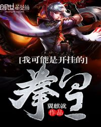 我可能是開掛的拳皇