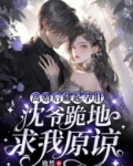離婚後藏起孕肚，沈爺跪地求我原諒