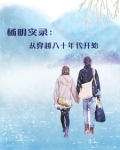 楊明實錄：從穿越八十年代開始