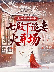 重生後去和親，七殿下追妻火葬場