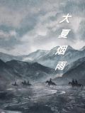 大夏煙雨小說