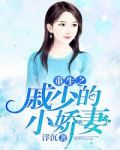 重生之戚少的小嬌妻
