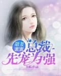 甜妻蜜蜜：總裁，先寵為強