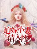 迫嫁成妃 小說