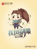 海賊之疾風劍豪怎麼樣