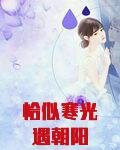 恰似寒光遇朝陽