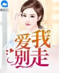 愛我別走