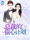 總裁的偷心計劃