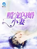 暖寵閃婚小妻